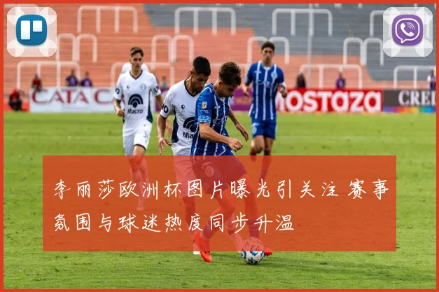 李丽莎欧洲杯图片曝光引关注 赛事氛围与球迷热度同步升温