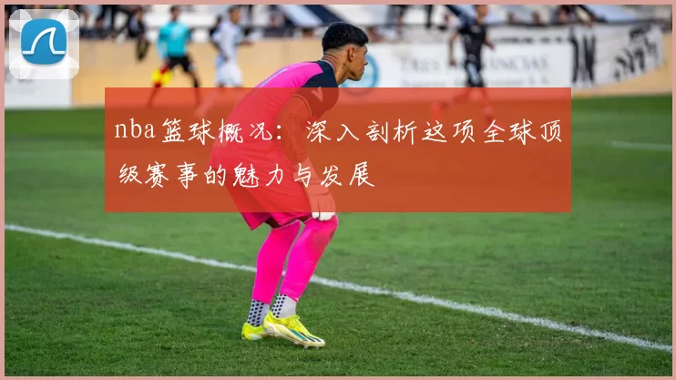 nba篮球概况：深入剖析这项全球顶级赛事的魅力与发展
