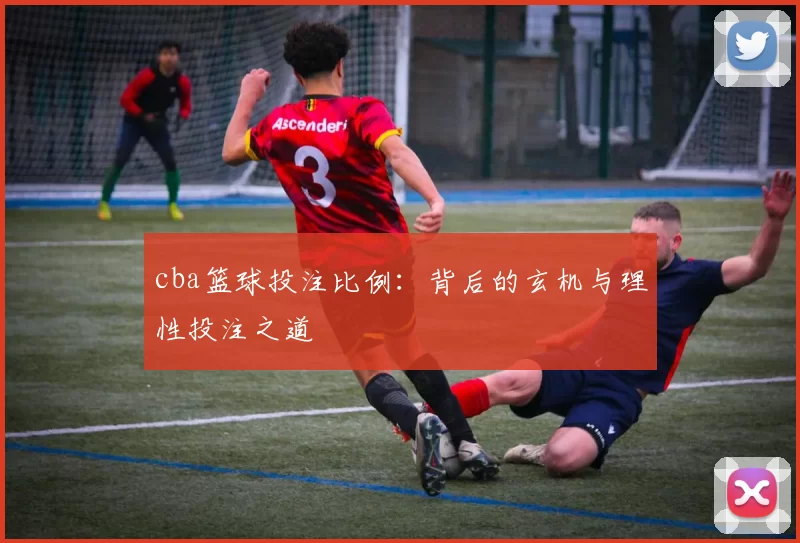 cba篮球投注比例：背后的玄机与理性投注之道